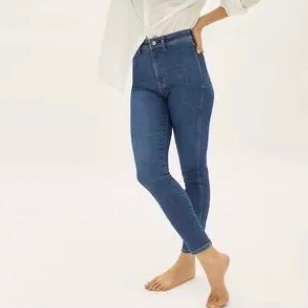 Everlane The Way-High Skinny Jean - 34